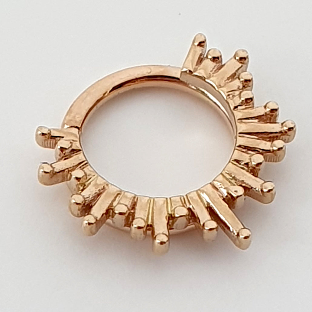 BVLA Ray of Light Clicker